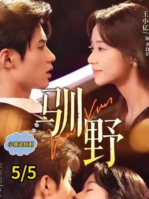 回南天记事 都市治愈剧全集在线观看